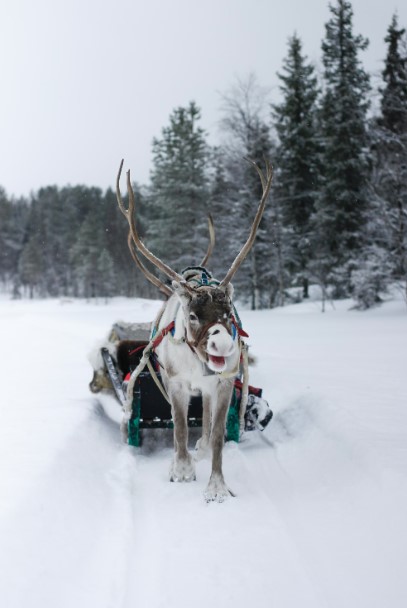 finland lapland kittils