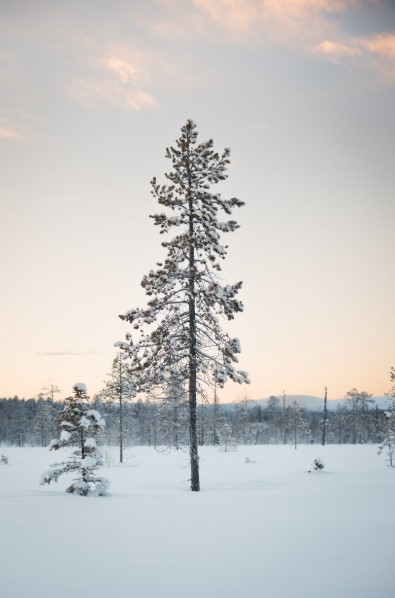 finland levi kittila from unsplash