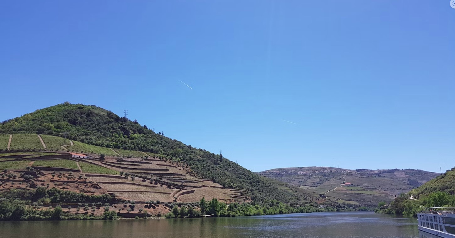 ribera del duero