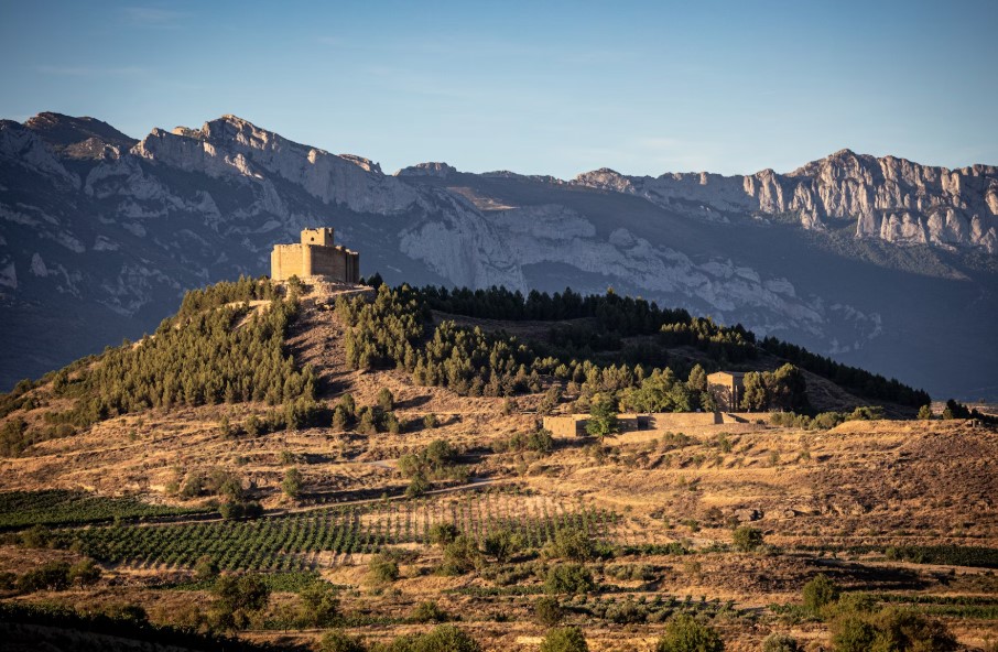 spain la rioja from unsplash 1