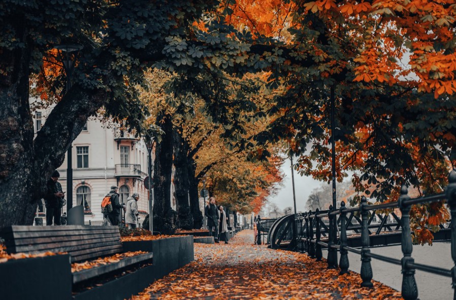 sweden uppsala 3 from unsplash