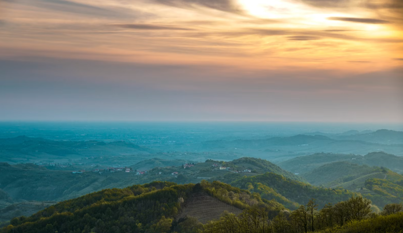 Goriška brda