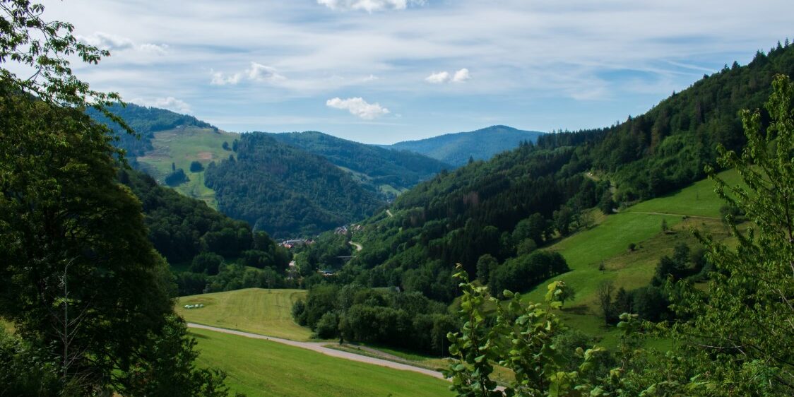 black forest