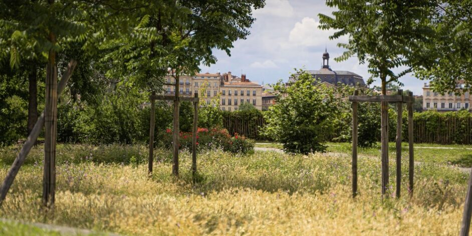 bordeaux