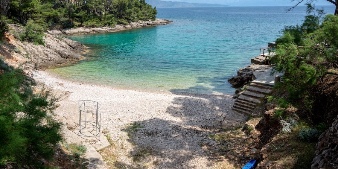 brac