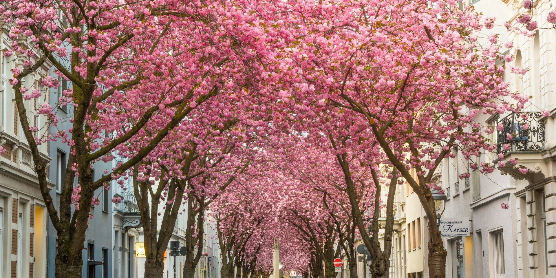 heerstrasse Bonn Germany