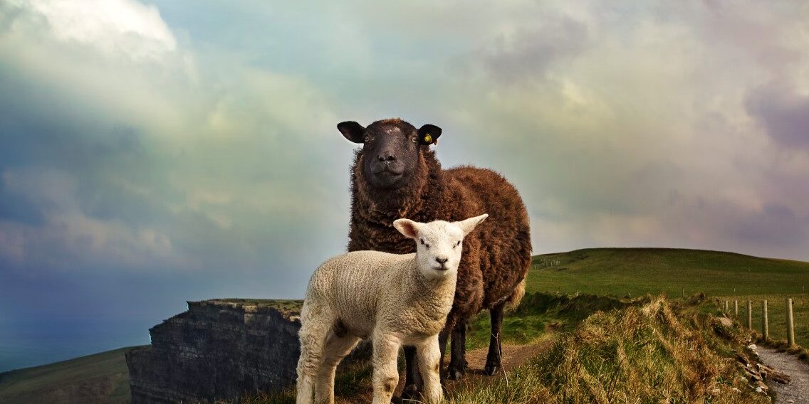 ireland
