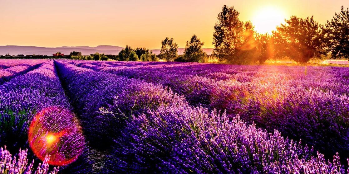 provence