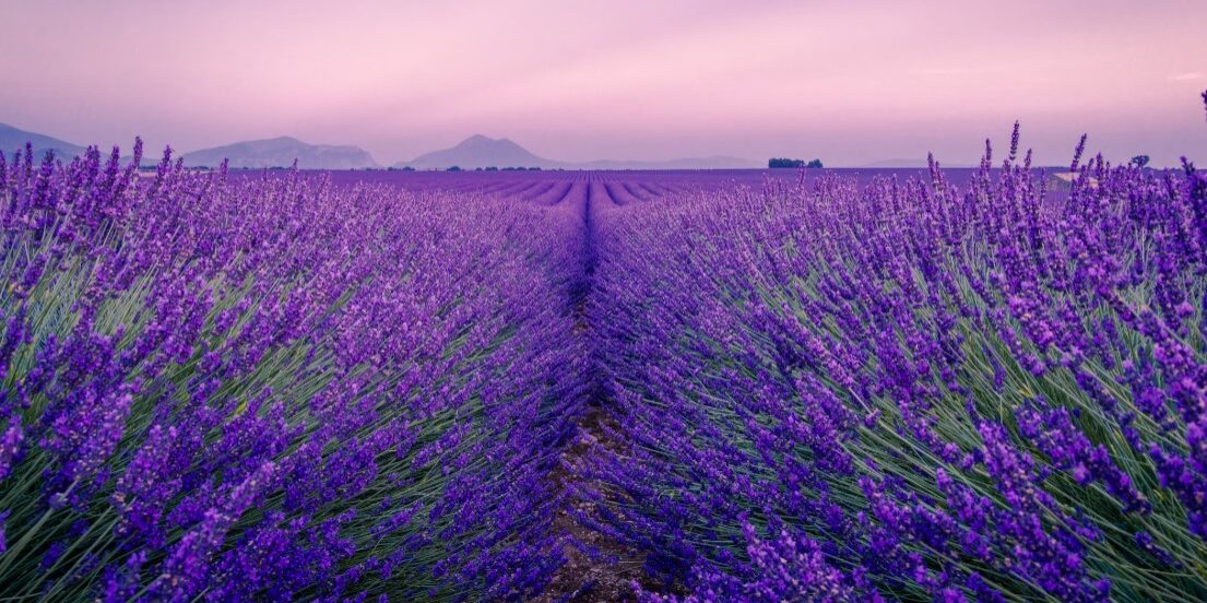 provence43