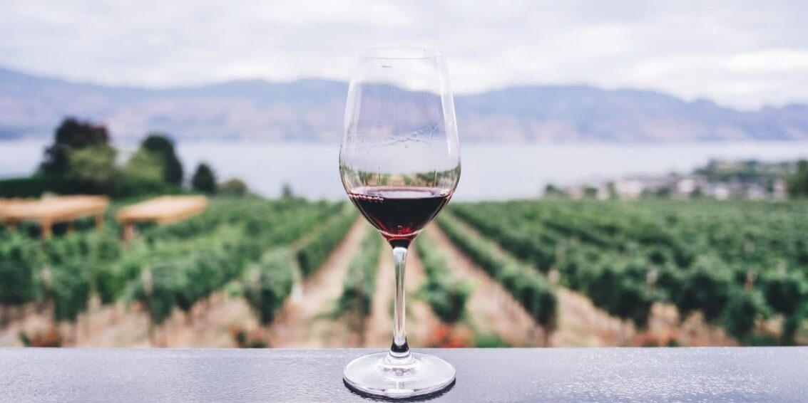 wine tasting